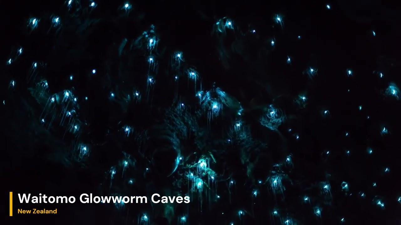 Waitomo Glowworm Caves: Geology and Glowworms