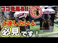 “ある所"を見るだけでUFOキャッチャーが劇的にうまくなります。japanese claw machine (UFOキャッチャー・クレーンゲーム・ユーフォーキャッチャー)