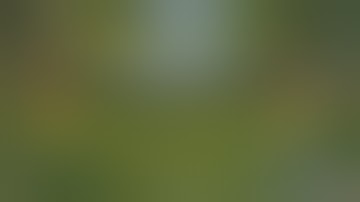 Daggerfall Unity — 219 — Witches Coven Quest — The Libel