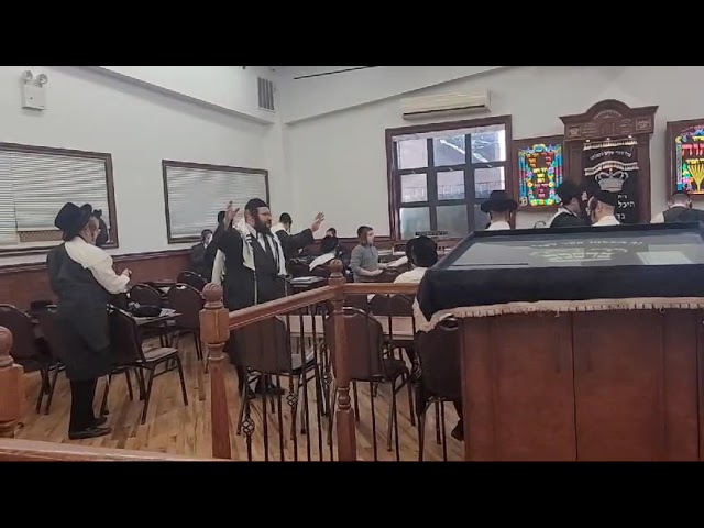 "על ידי ניגונים ומחיאת כף מתמתקים כל הדינים"