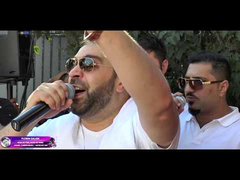 Florin Salam Mor de tine, mori de mine Nunta Liviu Tolo New Live 2017 by DanielCameramanu