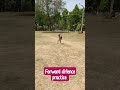 forward defence practice#cricketlover#shortvideo#youtubeshorts#sports#viralvideo#nca