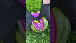 Curiosidades Y Datos Aleatorias