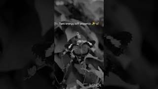 “Soft glow, strong soul ✨”#youtubeshorts #ytshorts #trendingshorts #relatable #butterfly #beautiful