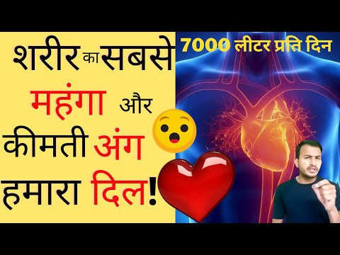 वीडियो: क्या हृदय विकसित होने वाला पहला अंग है?