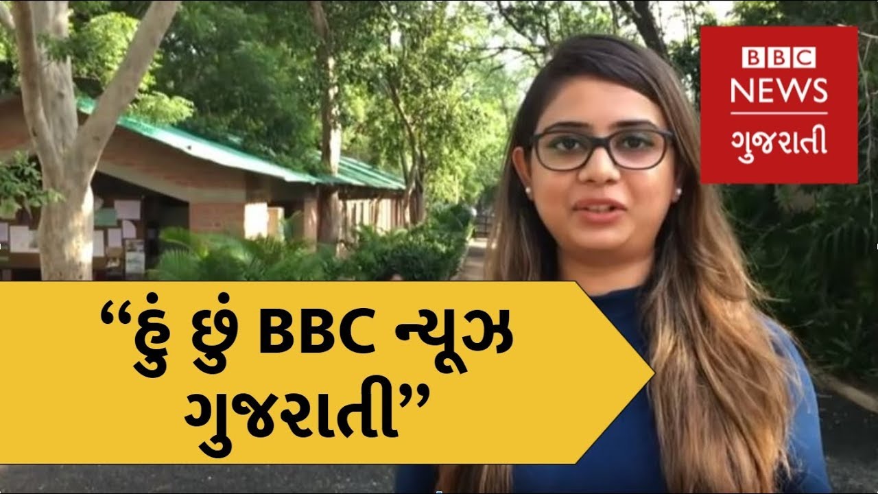 How the people of Gujarat BBC News Gujarati YouTube