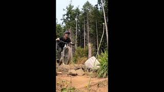 Rockshox Zeb flex