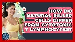 How Do Natural Killer Cells Differ From Cytotoxic T Lymphocytes? - All About The Immune System