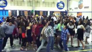HARLEM SHAKE WCMS DANCE VERSION