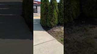 Would I turn your head? 🥰 #shortsfeed #comedy #public