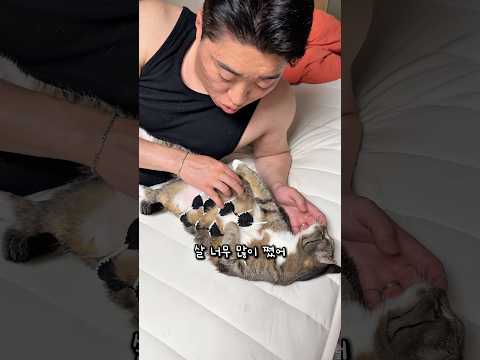 비키니 입을 준비하는 고양이 thumbnail