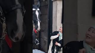 CHINESE TOURIST JUMPS TOUCHING THE REINS #kingsguard