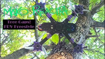 Flying that 5" like a Cinewhoop! TREE GAPS! 🌲🌞🌲#FPVFreestyle