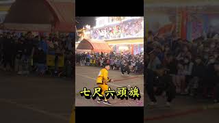 20240106 彰化七尺六頭旗 [友田鋼鐵有限公司] 海尾朝皇宮建醮繞境 #shorts