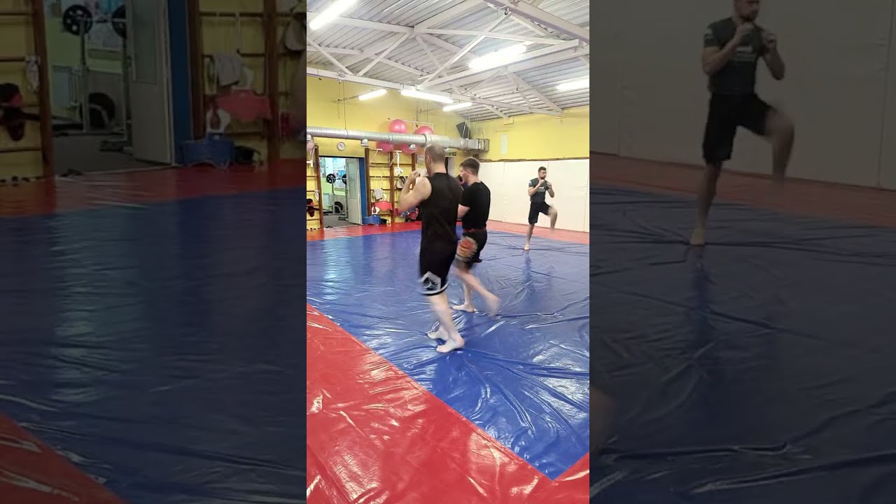 MMA Training. Sparring