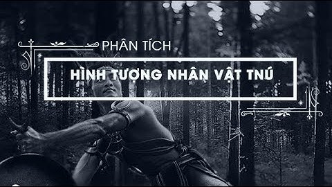 Nghệ thuật và đánh giá nhân vật t nú