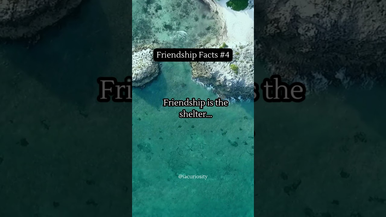 Friendship: Facts and Insights #4