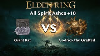【Elden Ring】Giant Rat vs Godrick the Grafted【All Spirit Ashes+10】 Details