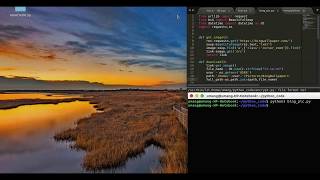 Bing wallpaper of the day - Python Script