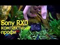 Sony RX0 – компактный профи. Обзор
