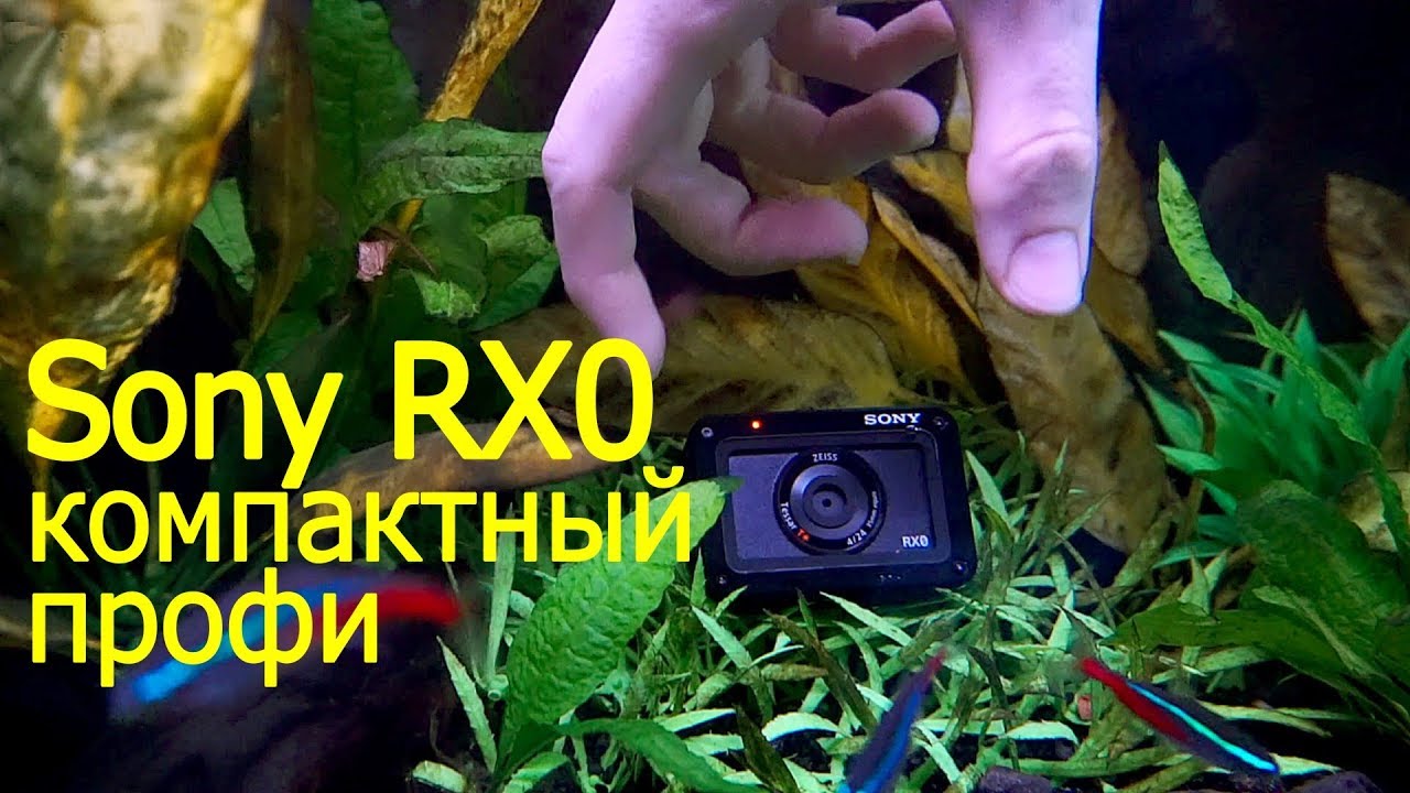 ⁣Sony RX0 – компактный профи. Обзор