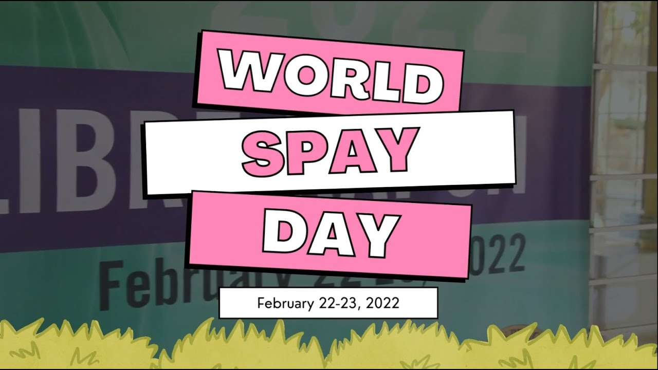 World Spay Day 2022 VIPxPAWS