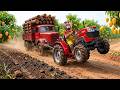 Monkey Farmer Drives Tractor to UNBELIEVABLE Rescue a Truck Trapped in Deep Mud!