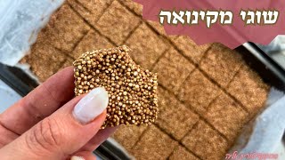 פרק 416- שוגי מקינואה