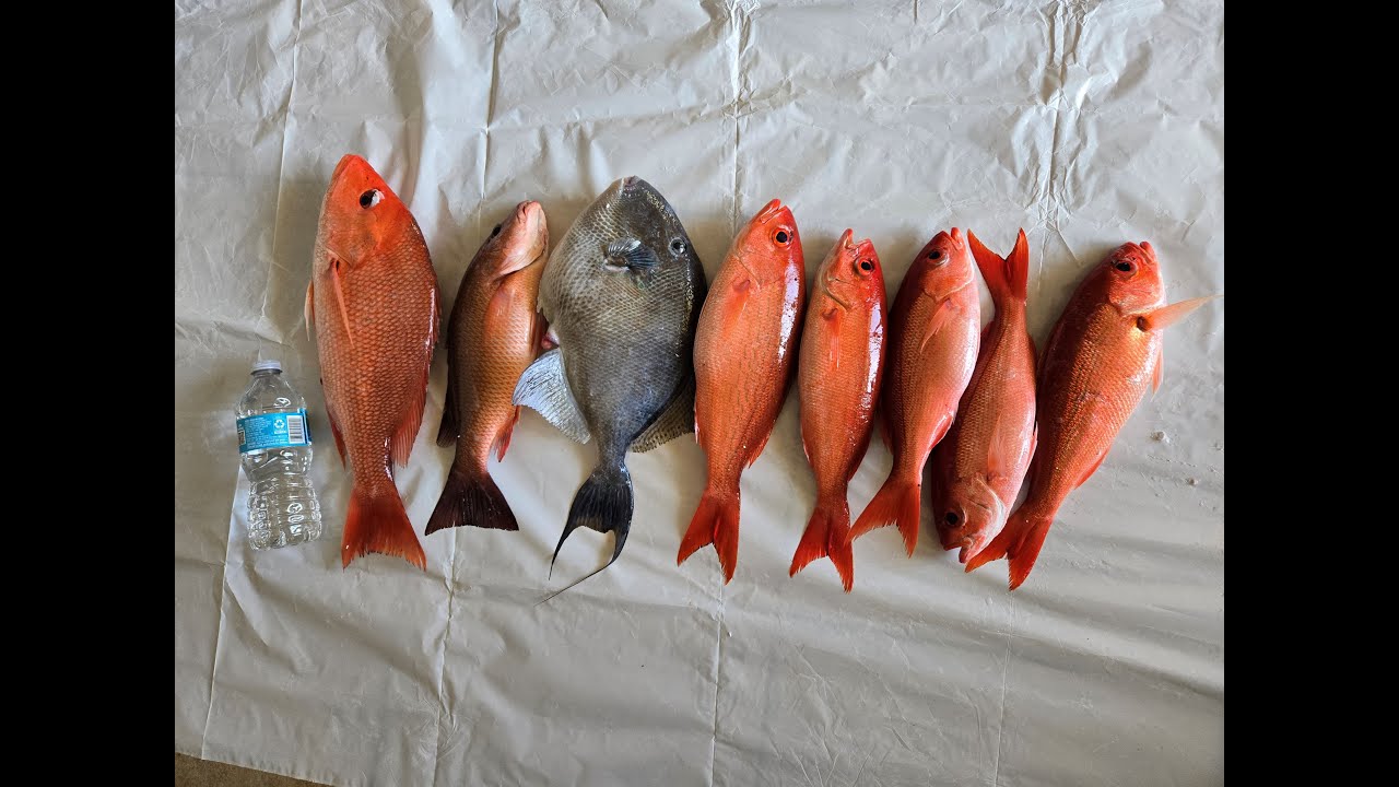 Destin Party Boat Fishing