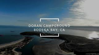 Doran Campground in Bodega Bay Tips For Camping At Doran Regional Park