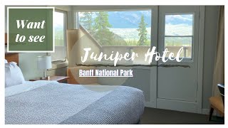 Where to Stay in Banff | Juniper Hotel & Bistro |  Banff National Park | Pinoy in Alberta
