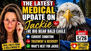 🚨 Latest Medical Update on Jackie | Big Bear Bald Eagle | August 5, 2026