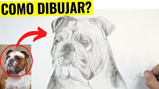  Cómo Dibujar un Perro BULLDOG INGLÉS a lápiz paso a paso  Cómo dibujar un bul dog realista