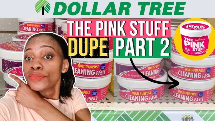 Dollar Tree MultiPurpose Cleaning Paste