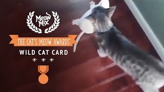 Meow Mix Brand Presents The Cats Meow Award Winner In The Wild Cat Card Category