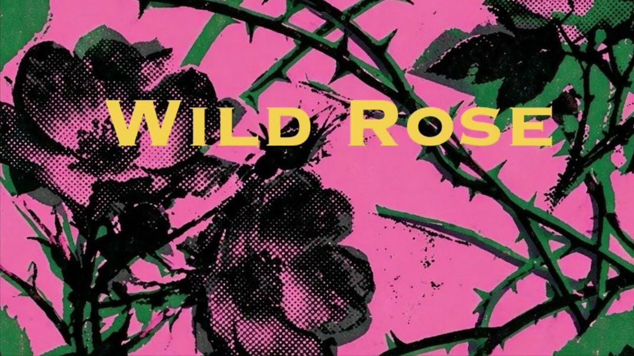 pressure-free generation「WILD ROSE」 - YouTube
