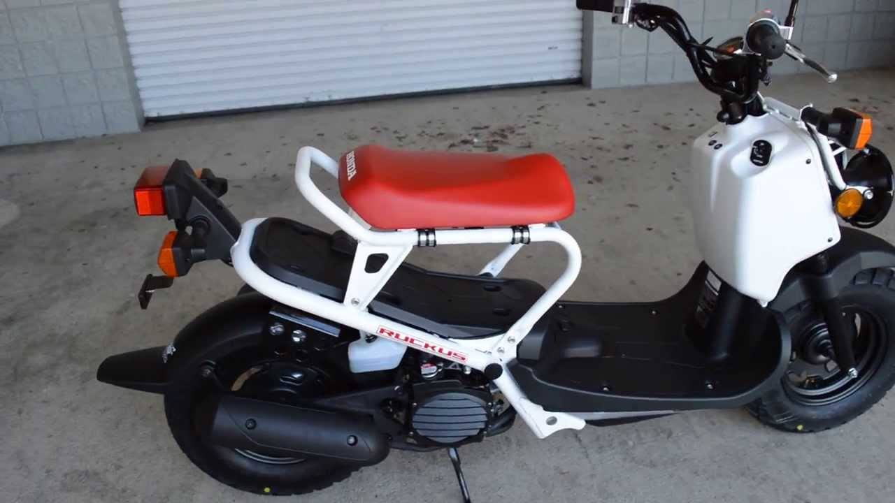 used honda ruckus for sale