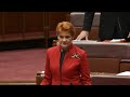 Pauline Hanson claims people are faking being Indigenous to claim welfare