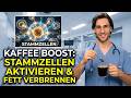 Füge DAS deinem Kaffee hinzu – Stammzellen aktivieren &amp; Fett verbrennen