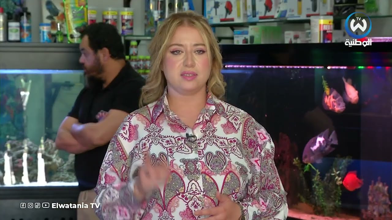 طرق تربية اسماك الزينة وتغذيتها السليمة