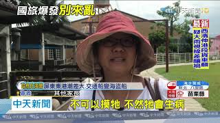 20200803中天新聞 水盆打馬、亂戳兔子! 業者心痛農場緊急休園