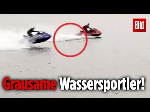 jetski-fahrer-rasen-in-gruppe-von-delfinen