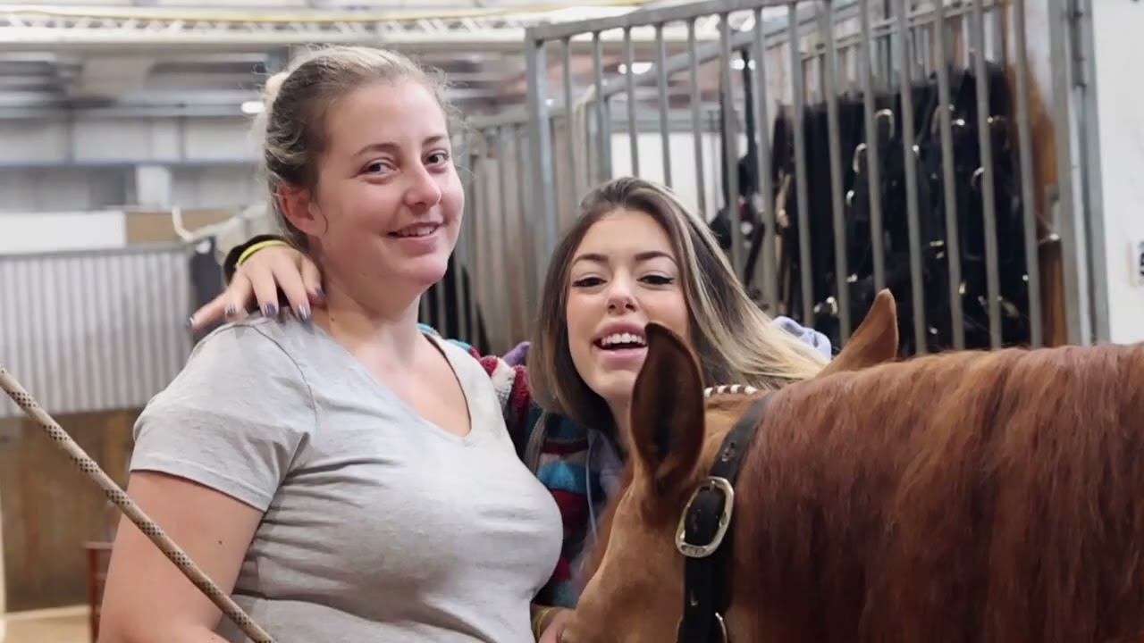 Futurity IRHA-IRHBA-NRHA 2022: day 2