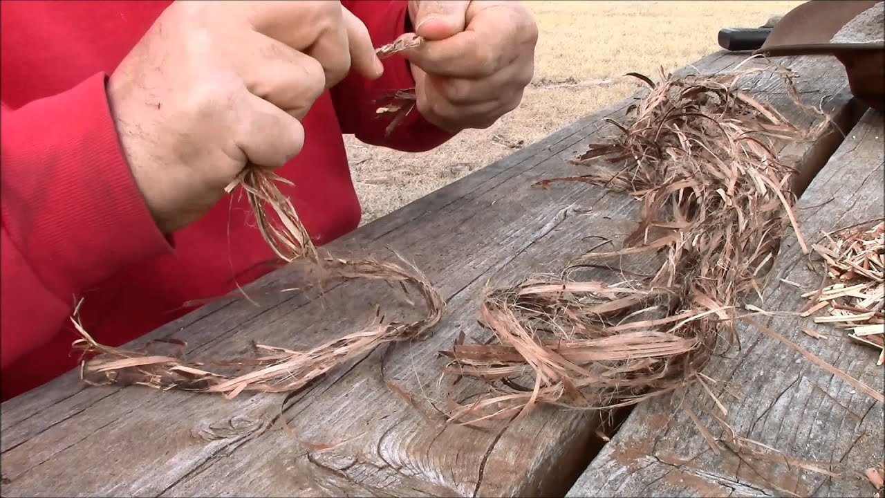 Making Dogbane Cordage - YouTube