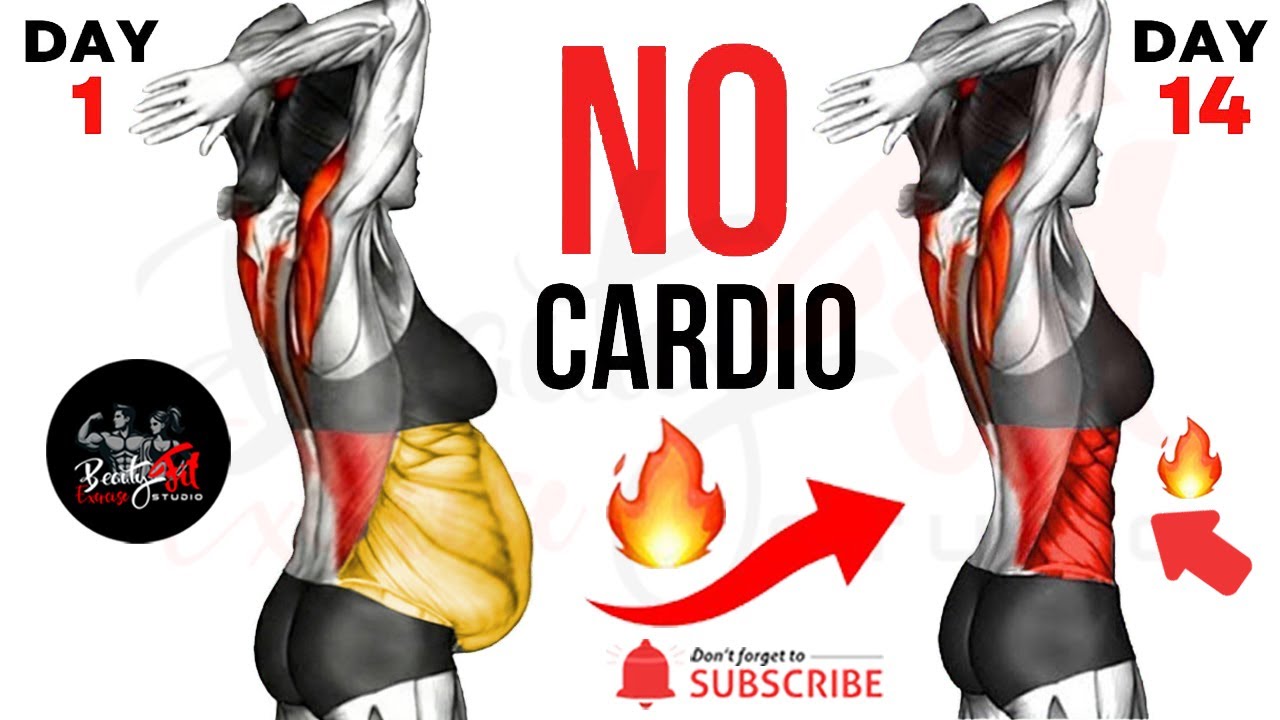 🔥Get a Smaller Waist Fast🔥21-Day Standing Abs Workout ➜30 -Ab Exercises to Burn Belly Fat