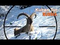 Kuban tur hunting in russia  tur de kuban en russie  2022