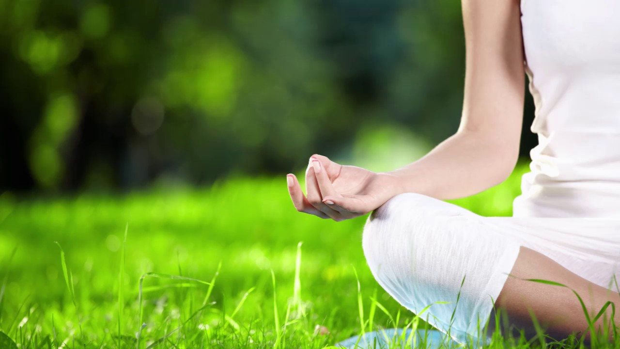 Yoga Living: 3 HOURS Healthy Yoga Meditation Music and Relaxation Calming Music meditation music zen