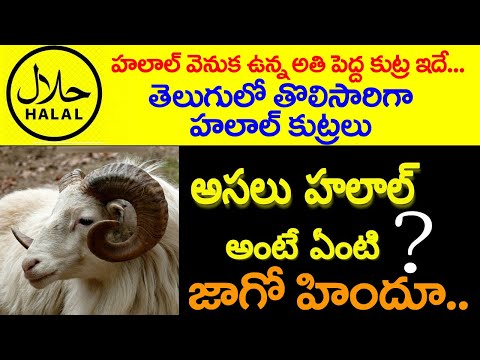 హలాల్ అంటే ఏంటి..కుట్ర| What is Halal | What does it mean when a Food or Product is Halal certified|