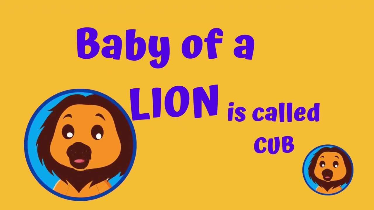 ⁣Learn English Series   Juniors Baby Animals
