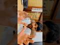 Mains/prelims#motivation #trending #ias #viralvideo #teacher